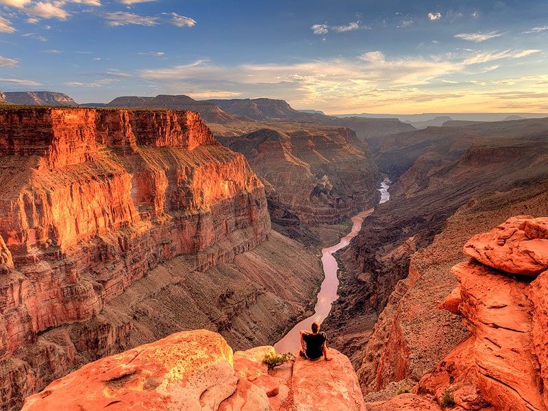 Arizona image